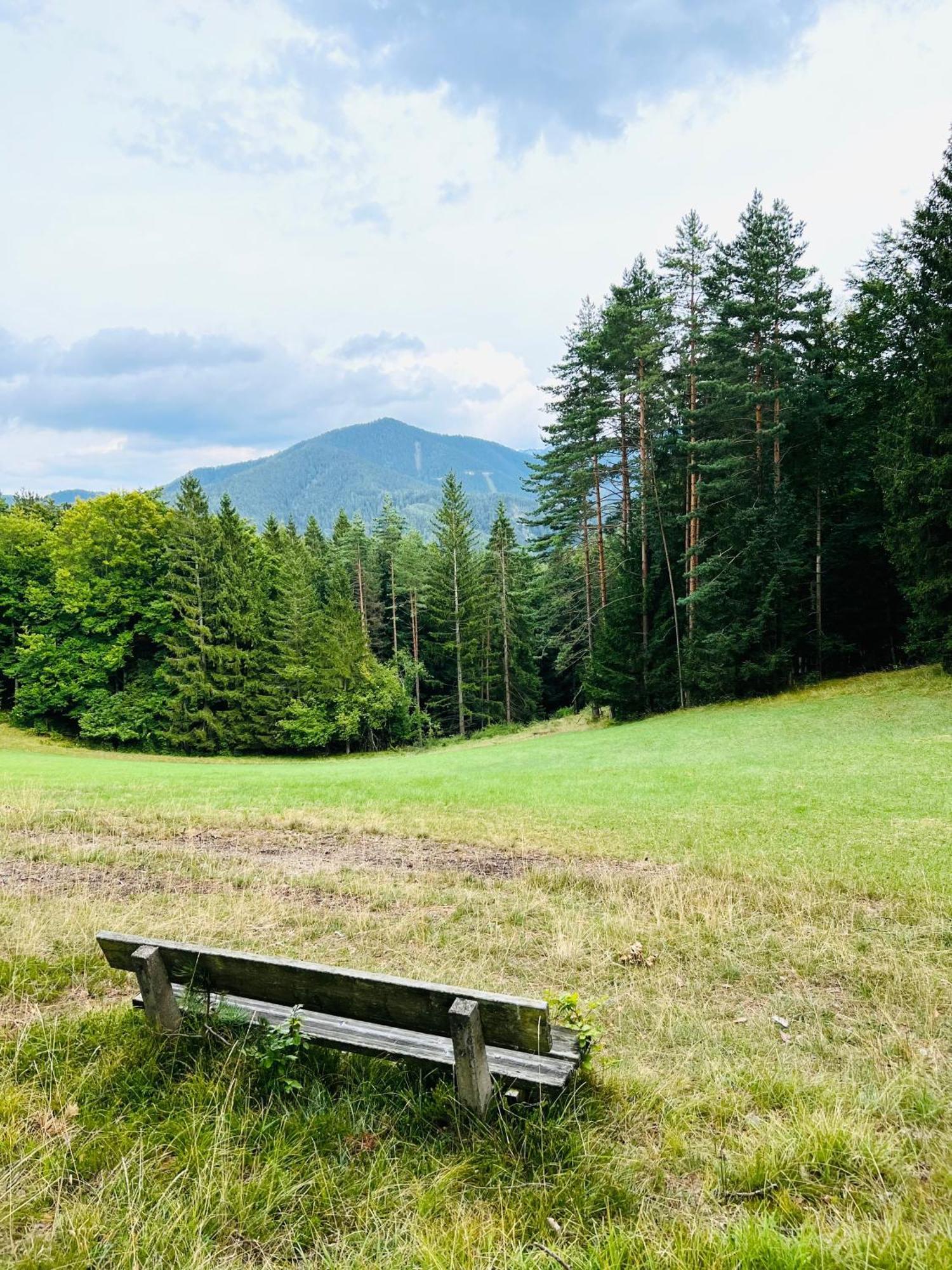Dorfpension Mariahilfberg Gutenstein Esterno foto